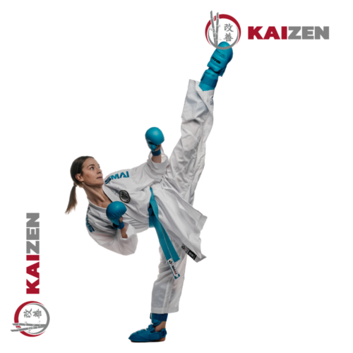 Protector de empeine de Karate SMAI - Aprobados por WKF