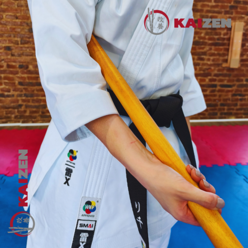 Bo Conico