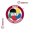Protector de empeine de Karate SMAI - Aprobados por WKF